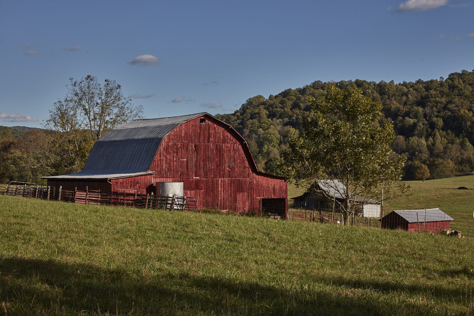 A farmstead of classic red barns in the hills near Cookeville, Tennessee