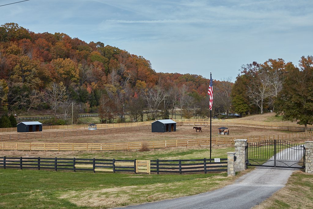 A farm gate, pasture and fall color near Hillsboro, Tennessee